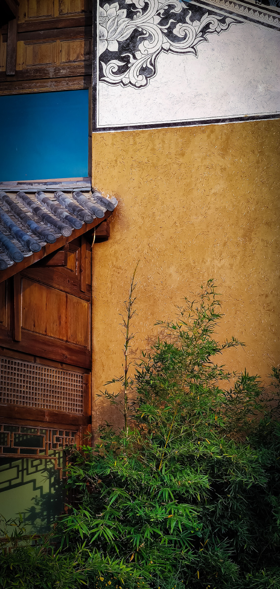 很有感觉的老院墙