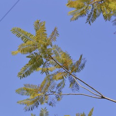 91D4F2D0-5197-46F9-A262-B37E79C2BAFB/L0/001