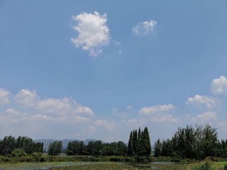 1987515