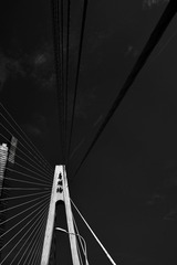 06BC665A-5E7F-4718-93EC-4278C870A99E/L0/001