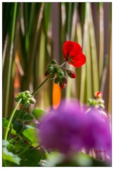 19AB7050-DD47-4511-BCA9-1FFC368691C5/L0/001