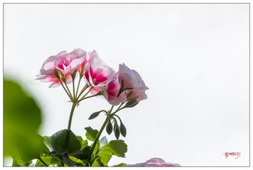 0D59011F-2F02-4BB2-B469-7B318434D643/L0/001