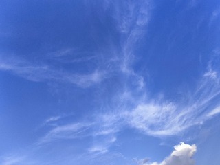 1000005258