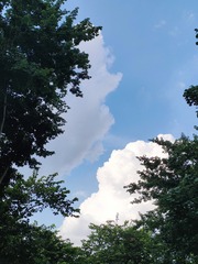 1000005475
