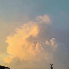 1000006281