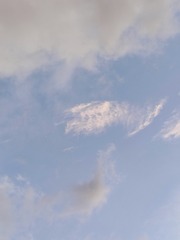 1000005519