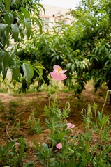 L1000088