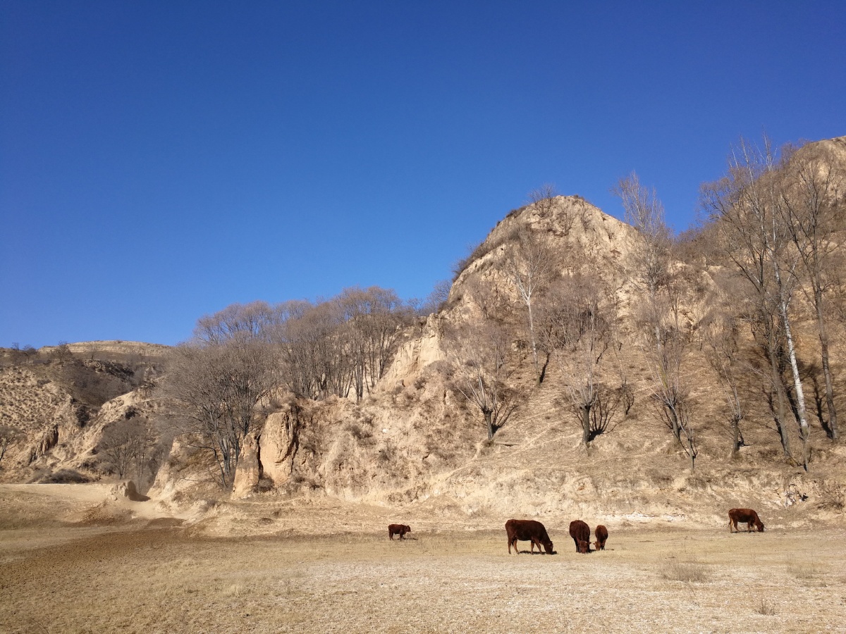 荒山野坡景色依在