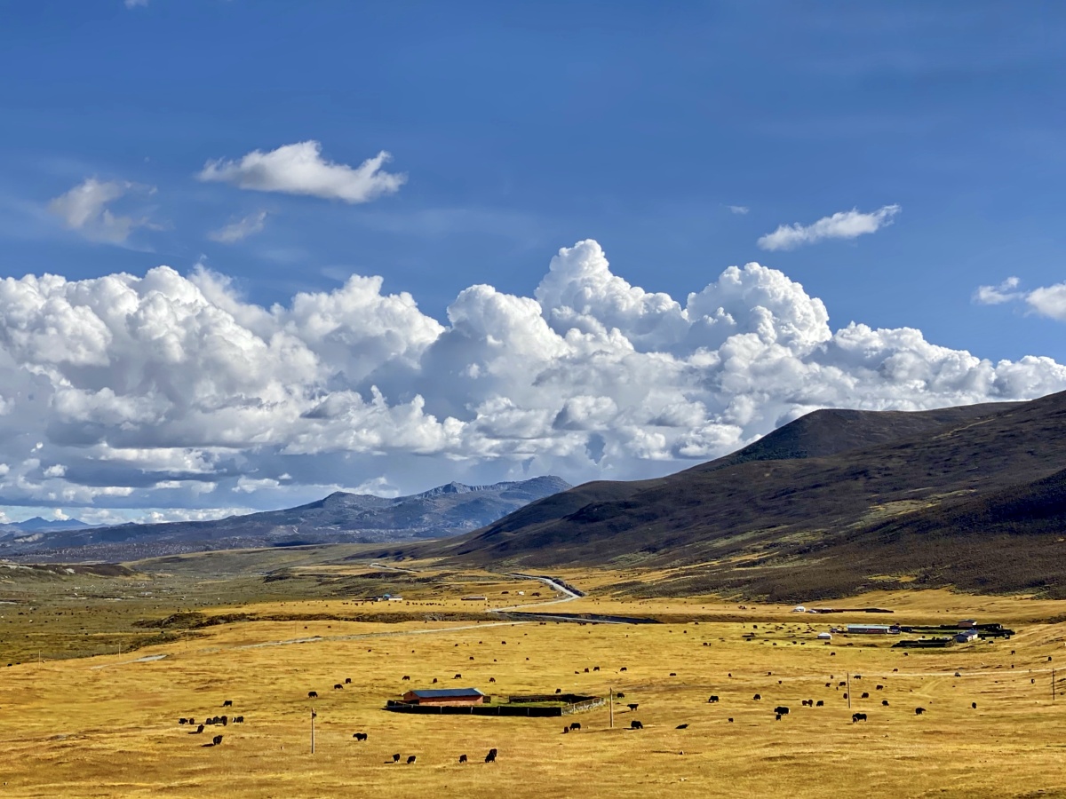 理塘牧场 - 青蛇689 - 图虫