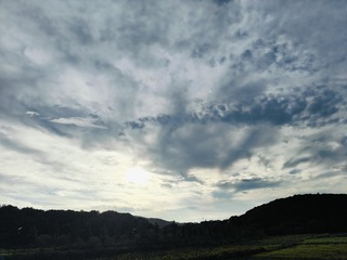 1000006856