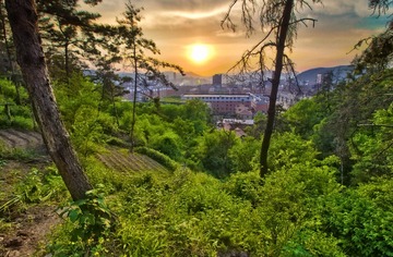 无标题_HDR8