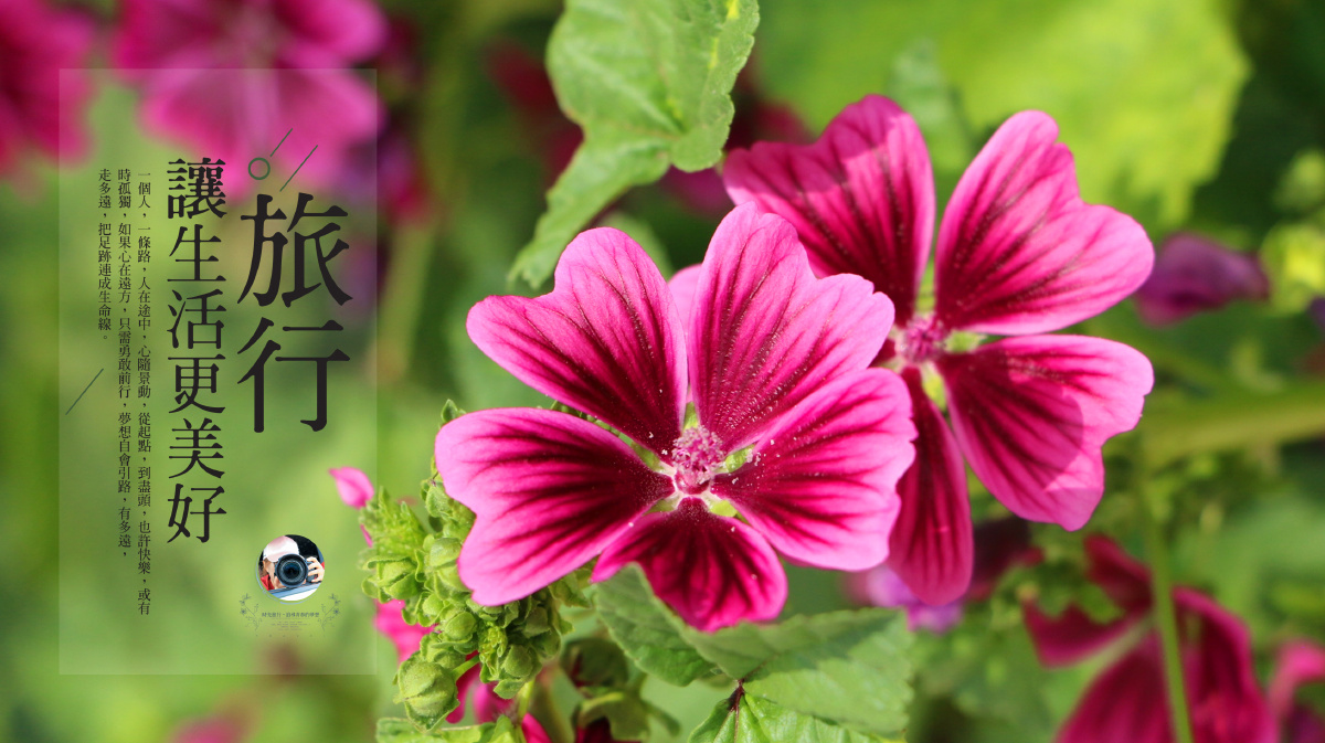 换电脑桌面,换个心情…