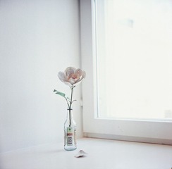 23370014-1.jpg