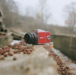 23590005-1.jpg