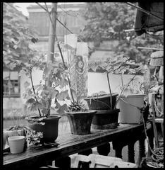 86Scan-120908-0001-1.jpg