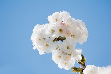 86E33A3B-00B3-4791-91A6-F660313D3654/L0/001