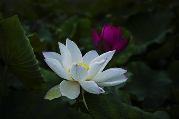 001
