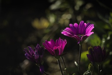 713AD3EF-A6DD-4297-818C-F7E48CE1BA13/L0/001