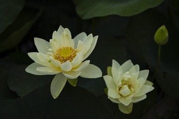001