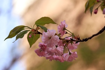 19060