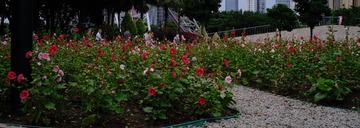 D0612078-3E06-4CF3-8695-93FEA4F40CB9/L0/001