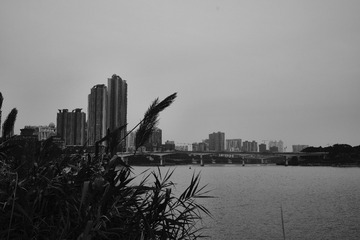 8469FB26-FF9D-4B99-9164-1F859B5C8A7B/L0/001
