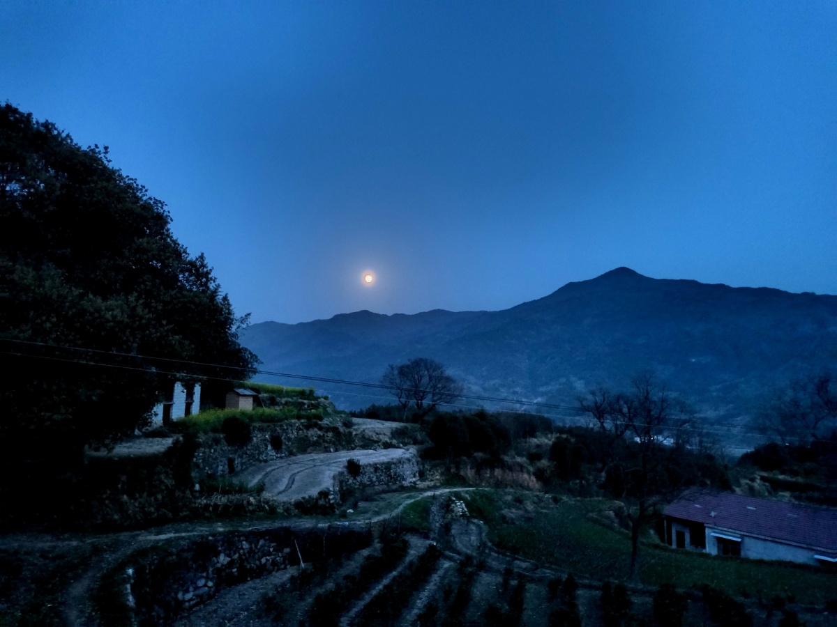 一次偶然的机会拍到老家月亮升起的夜景像不像恐怖片里的夜景挺特别的