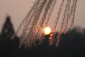 E26C6DED-8FFB-4962-8320-776D22708D40/L0/001