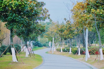 7FEF7FB2-6BBD-4881-A8B3-530246979EC3/L0/001