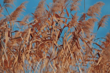 6382A14B-5D1A-40D4-B4E0-4153E240117A/L0/001