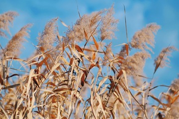 40C11477-3F17-4F77-AC35-A0C39A04DD5E/L0/001