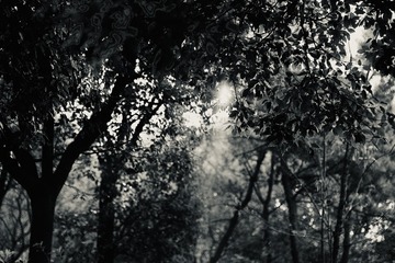 4AD7F3B0-609E-410B-97EC-70A3847E7025/L0/001