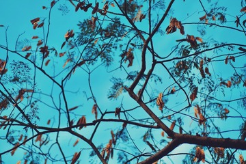 408C565D-33F1-4A55-91C2-10D88B496095/L0/001