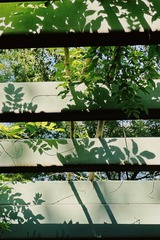 E235A619-E691-4B40-9802-9EEB03F35562/L0/001
