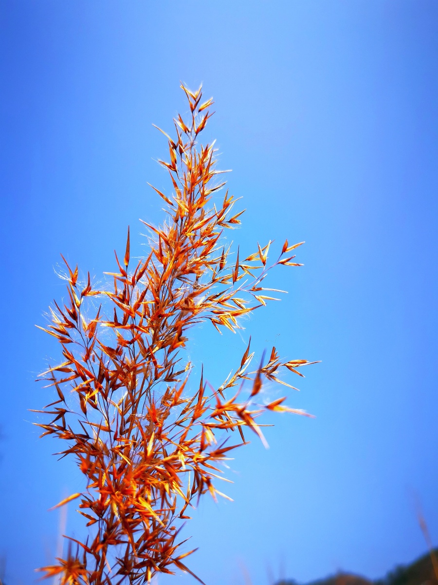 晴天- 永恒的阳光sunshine - 图虫