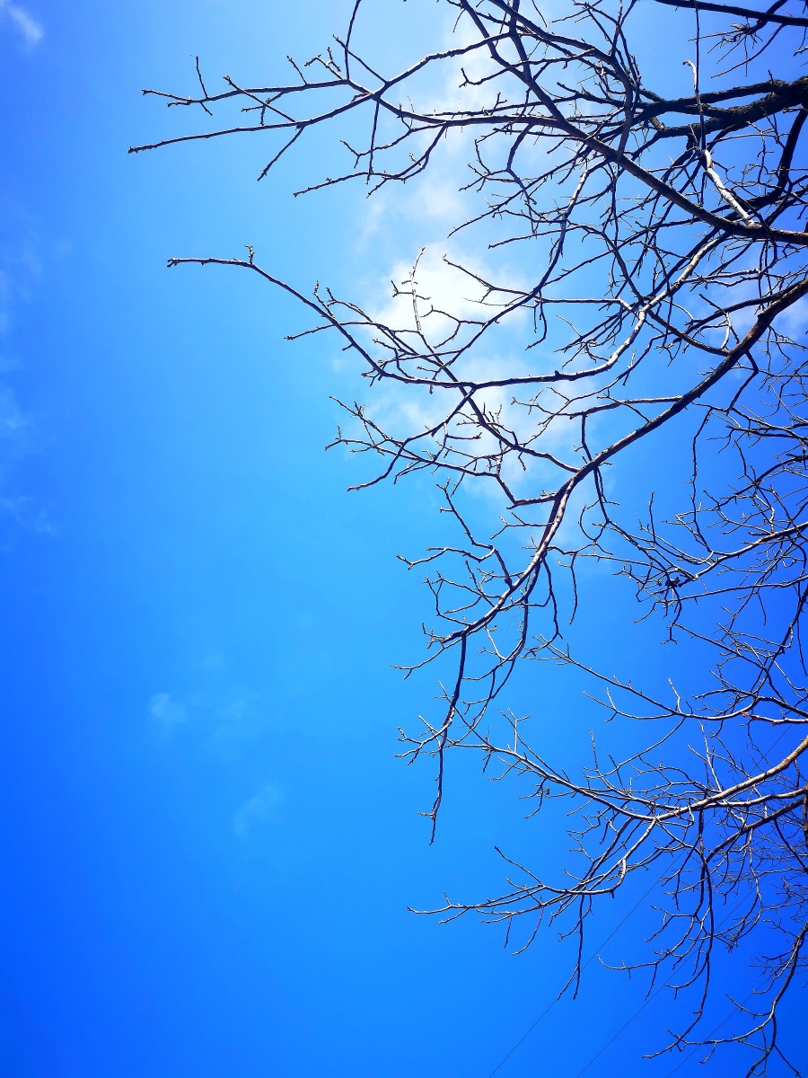 晴天- 永恒的阳光sunshine - 图虫