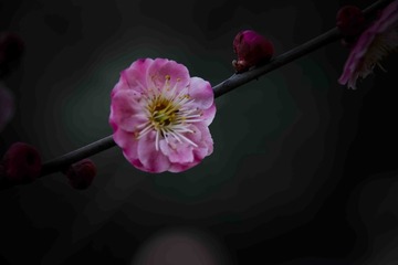 001