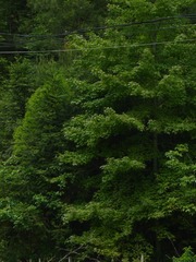 CEFBFAF7-B1D8-4F2F-8C00-C57AA8D223EF/L0/001