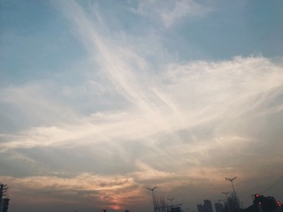 282