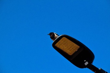 116572
