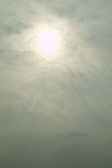 江边半日游NO.１４