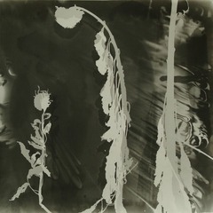 残香 no8