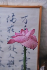 9AA75E8E-F2DC-44A7-8971-13B6FC185F88/L0/001