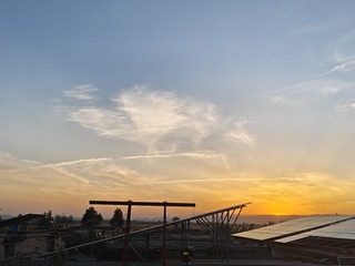 1000277525