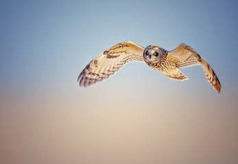 3C038E4F-AFDF-493F-B2F6-0DA49A7C836F/L0/001