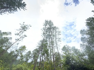 4183C85A-49E8-4EC0-B98F-EE0BCAB6CE17/L0/001