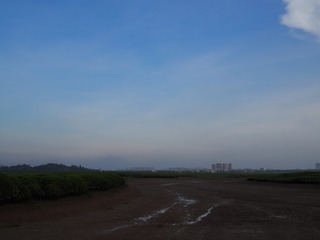 5339C8B7-9D7E-4C70-8DE8-31EEA69278FD/L0/001