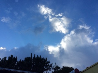 76DD8882-F6D4-4038-8455-3E0BF5623726/L0/001