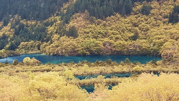 9150D18D-6004-4D62-A3FE-50D92E0B083B/L0/001