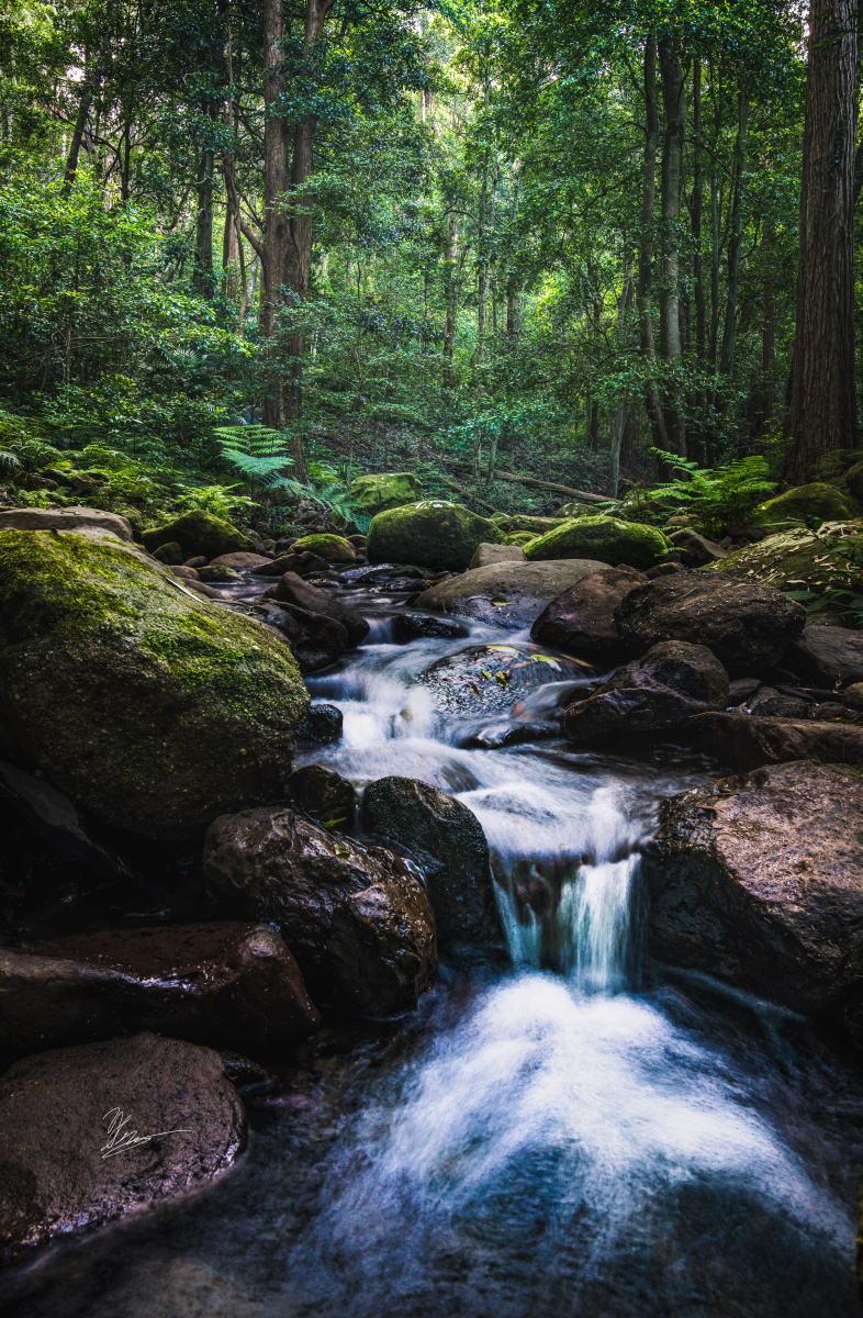 786_1200竖版 竖屏